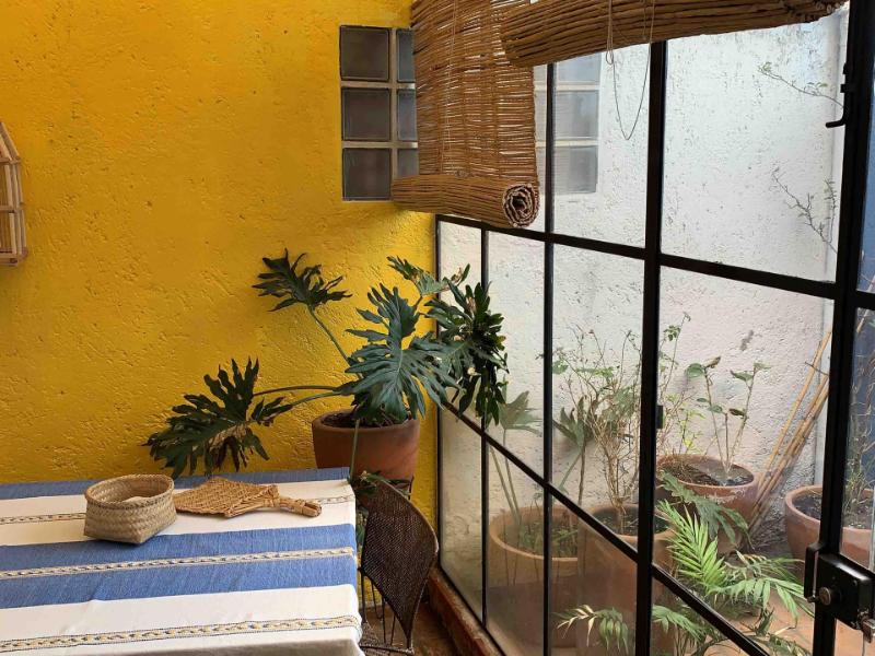 Patio soleado con una pared amarilla en Casa Molcajete Airbnb en Coyoacán, Ciudad de México