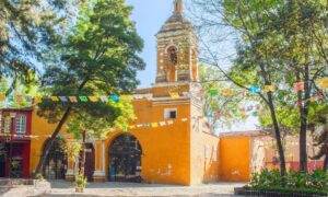 Los 10 mejores alquileres de Airbnb en Coyoacán (el número 3 está cerca de la casa de Frida Kahlo)