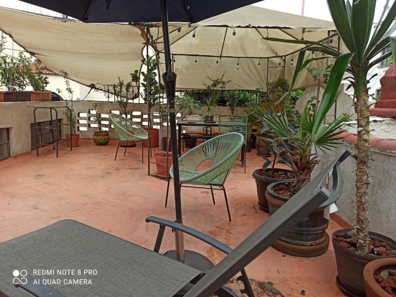 Terraza compartida llena de plantas y sombrillas en la Suite con Desayuno Gratis de Camino Real en Anzures, un Airbnb barato en Ciudad de México