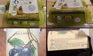 Alerta de salmonella en huevos y mermelada de arándanos: consulta estos lotes