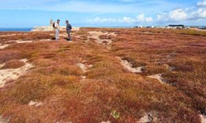 Comunidad de restauración ecológica hace un llamado a…