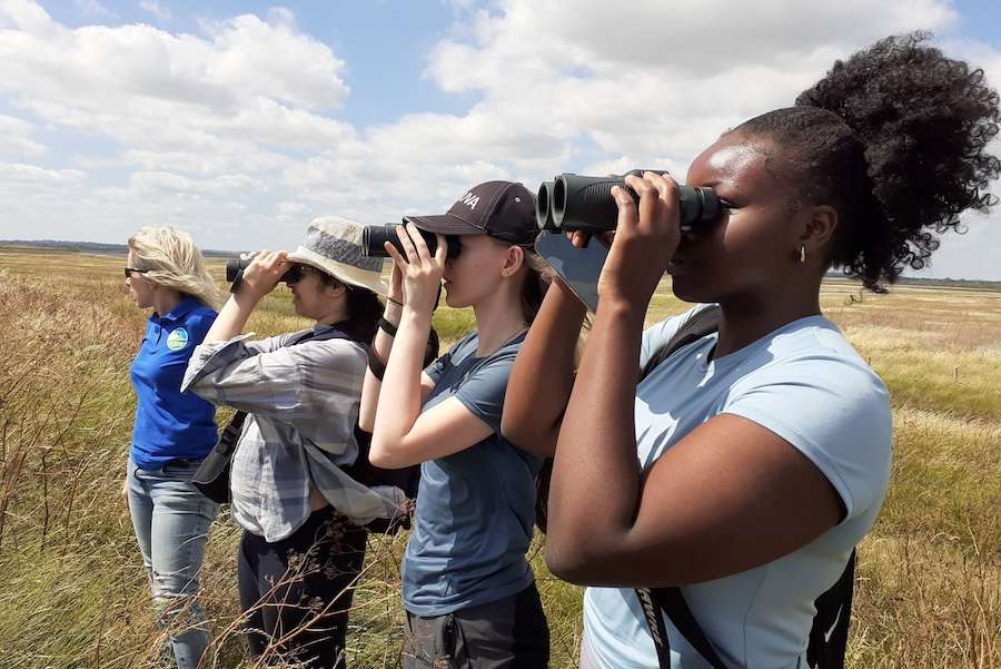 £25million Species Survival Fund transforms 4,800 hectares of habitat for nature across England