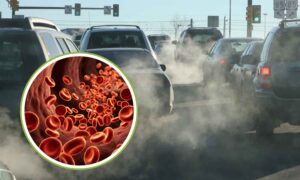 El aire contaminado deja una huella en la sangre: descubren dos señales que podrían anticipar daños cardíacos