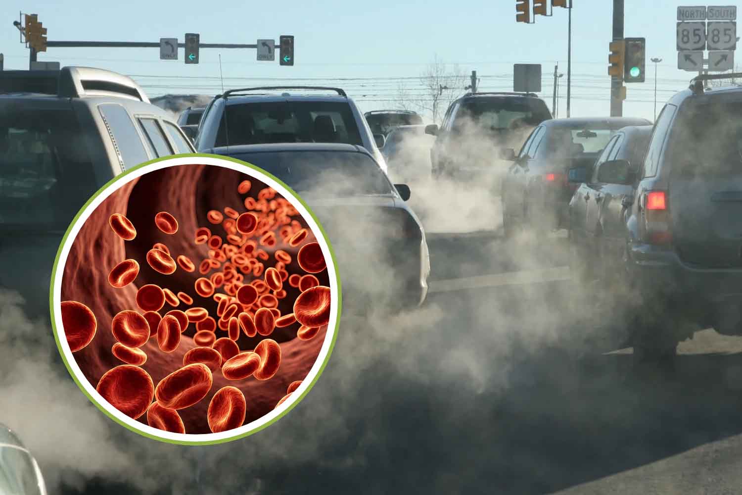 inquinamento nel sangue