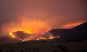 Gran Bretaña necesita ‘Resalvajar para recuperarse’ del futuro…
