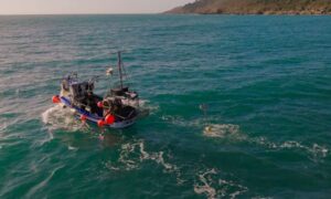 Los científicos desarrollan un ‘espantapájaros flotante’ para proteger a las especies amenazadas…