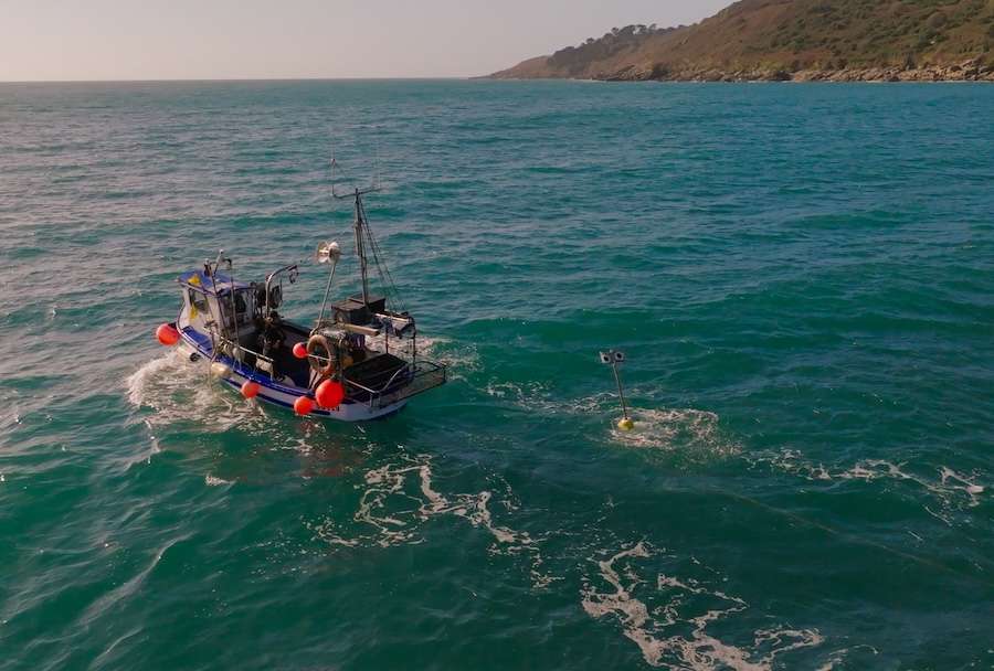 Scientists develop ‘floating scarecrow’ to protect threatened seabirds