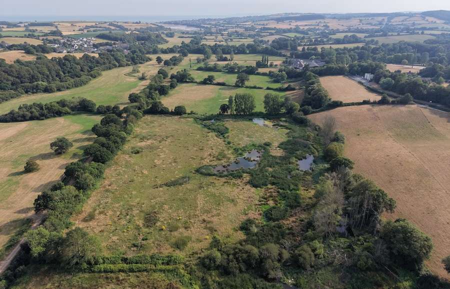 New report finds UK off track to halt and reverse nature loss by 2030, putting national security at risk