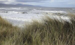 Uno de los lugares más importantes de Escocia para la naturaleza salvada de la destrucción